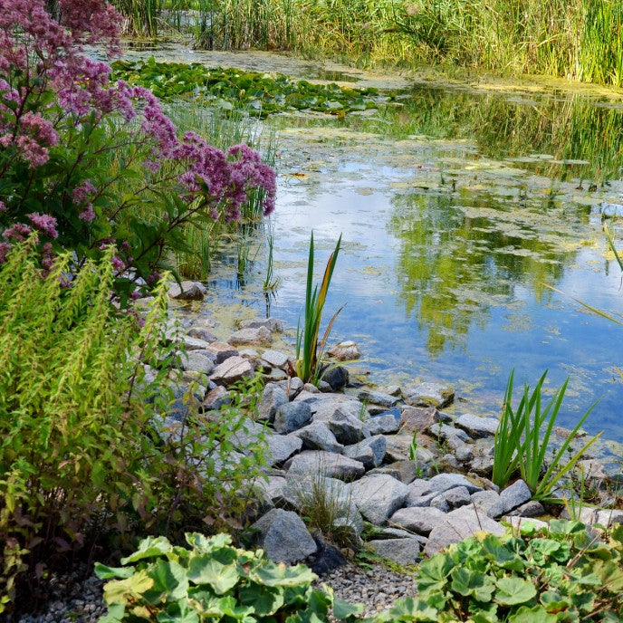 Bassins : c’est reparti !