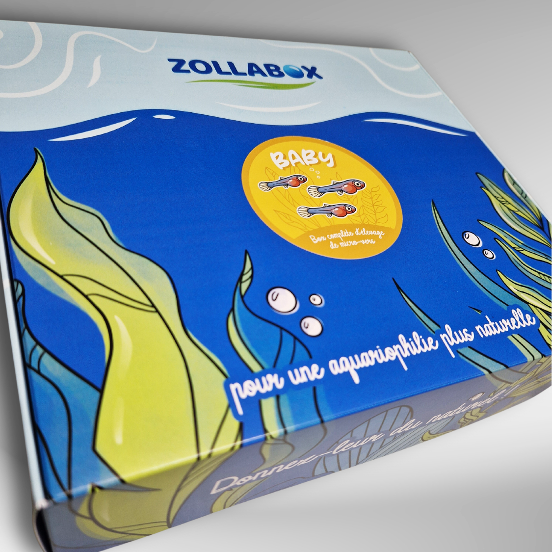 Coffret complet d'élevage de micro-vers pour vos alevins.