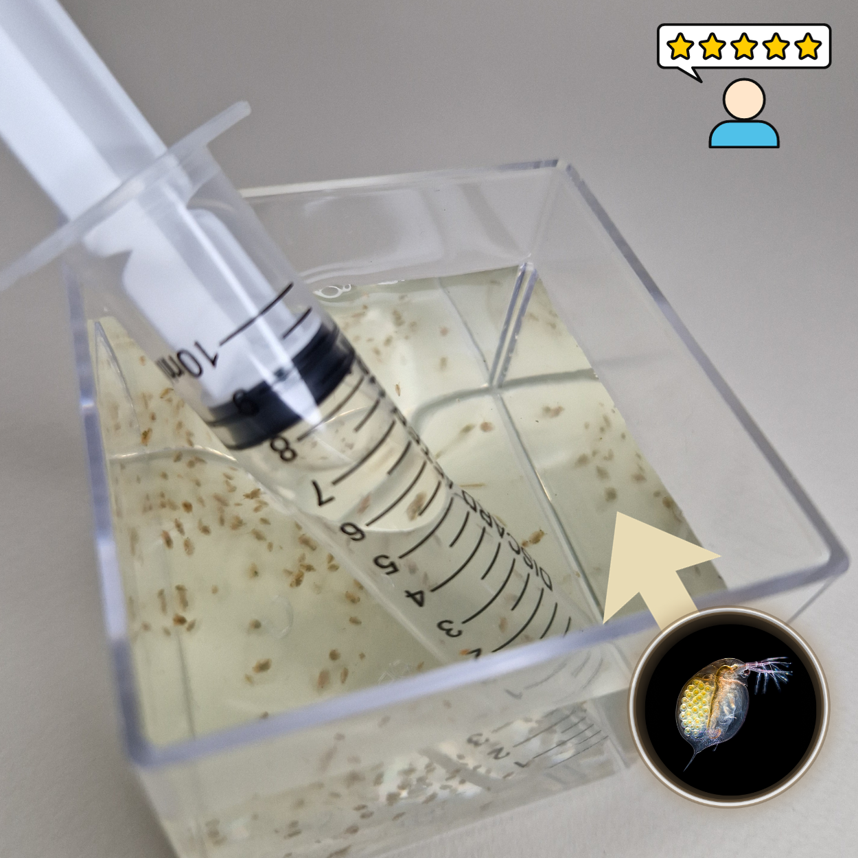 La Zollabox Poisson M est un coffret inédit qui vous apporte tous les conseils et le matériel pour réussir très facilement cet élevage si utile.