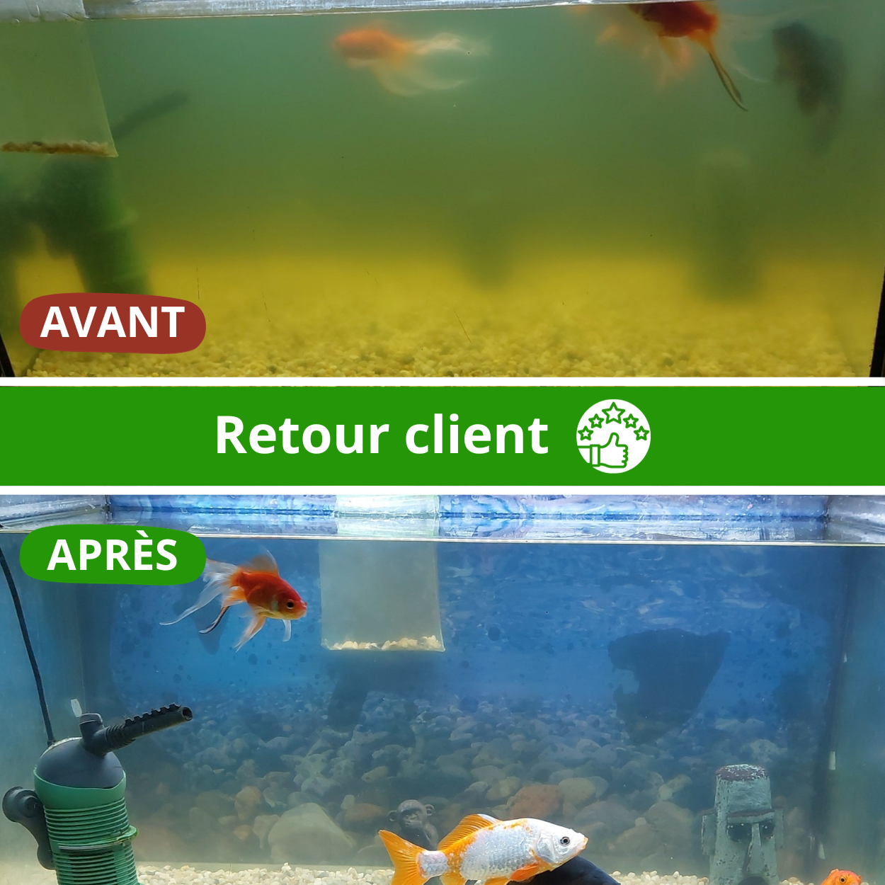 La Zollabox Eau Claire XL vous permet de lutter contre l'eau verte exactement comme le ferait la nature, sans le moindre traitement chimique !