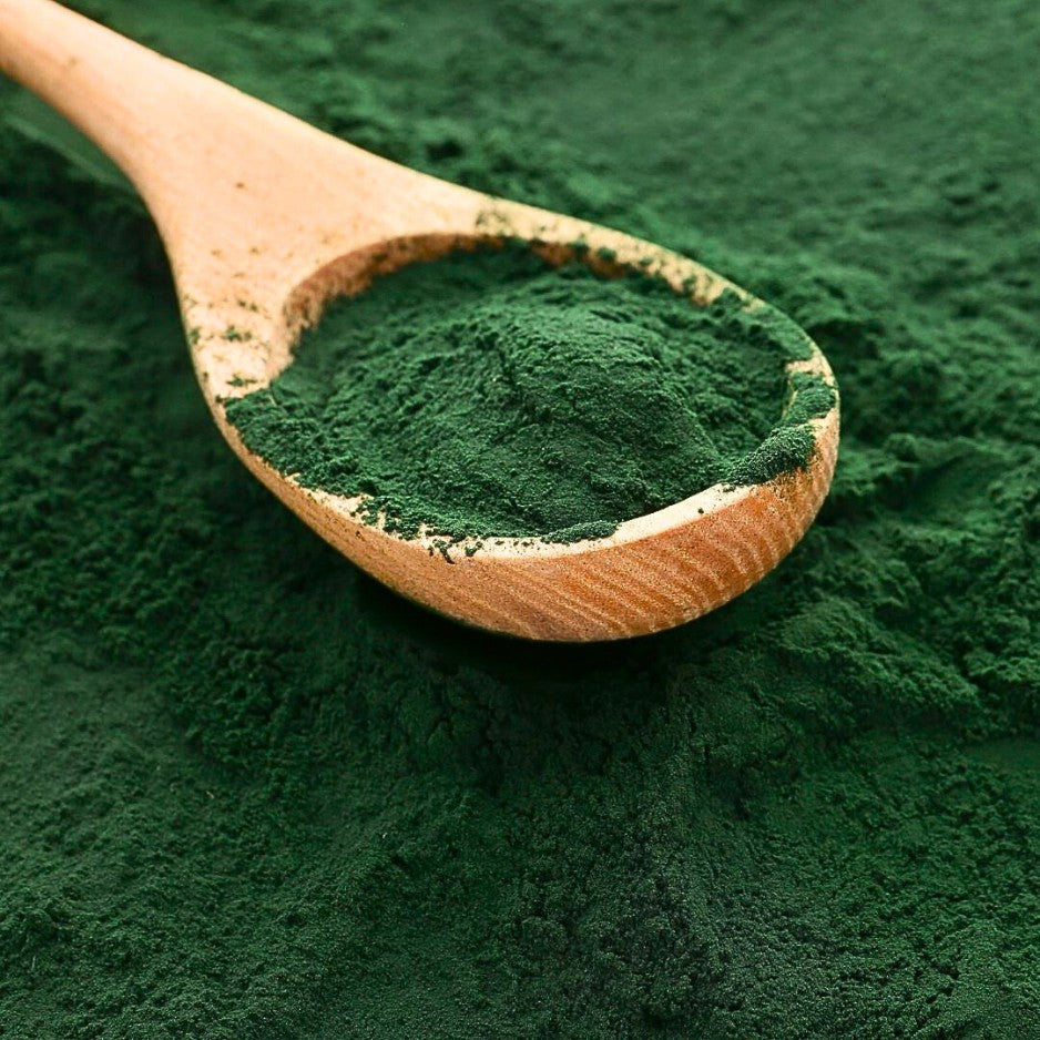 La célèbre algue-miracle, en version micronisée et humectable. En suspension dans un peu d'eau, elle nourrit vos bestioles et crevettes...
La spiruline est désormais bien connue.