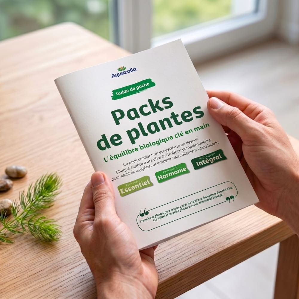 Mains tenant le guide de poche Aquazolla intitulé "Packs de plantes", au-dessus d'une table en bois.