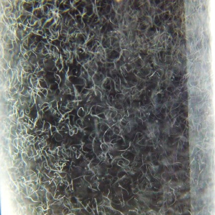 Les anguillules du vinaigre sont une bénédiction lorsque l'on doit nourrir des alevins et que l'on ne dispose pas d'une culture d'infusoires déjà productive. En effet, ces vers microscopiques sont extrêmement fins, souvent plus fins que les infusoires eux-mêmes !
