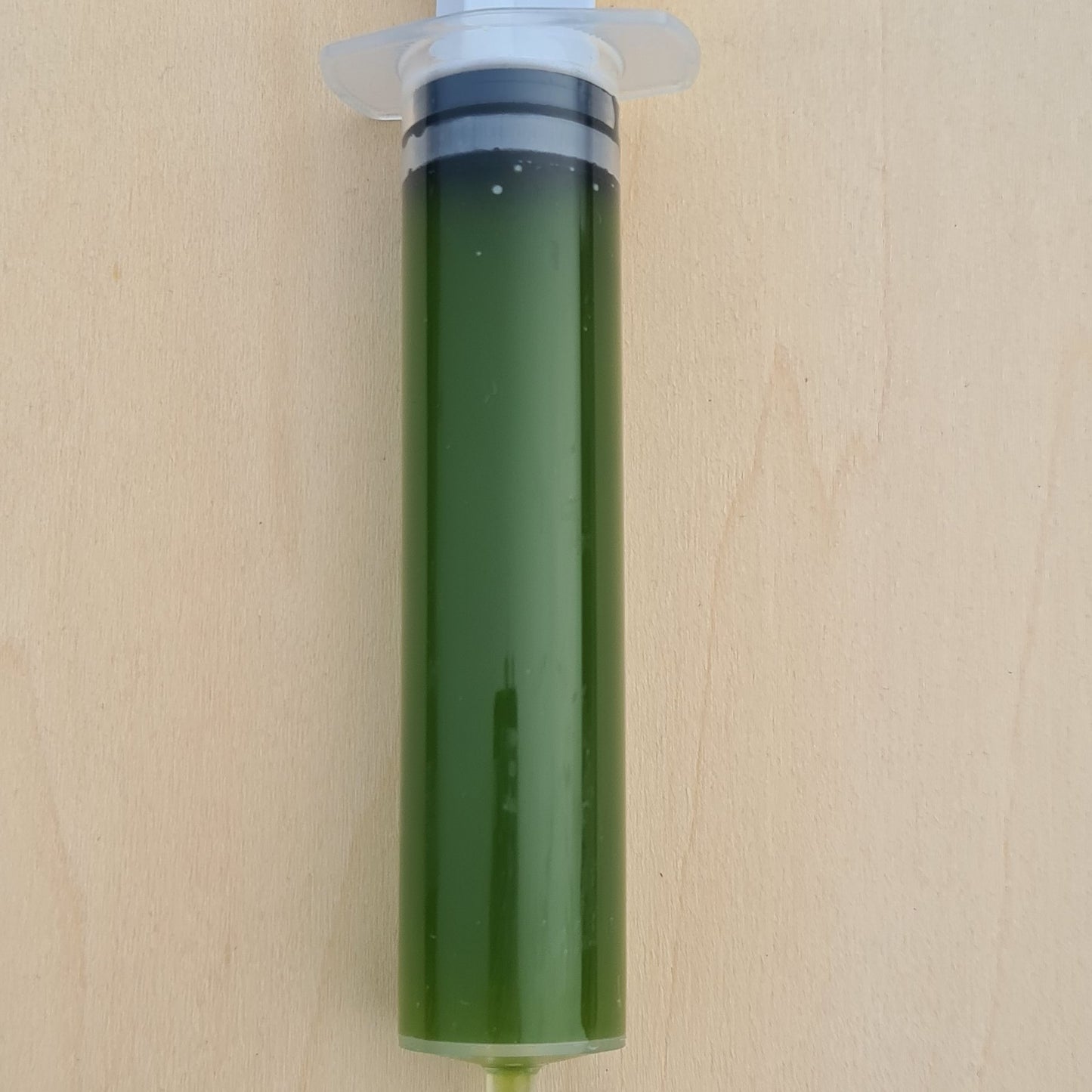 Un seul sachet de 40 ml suffit à produire soi-même, une fois dilué, une dizaine de litres de véritable eau verte.