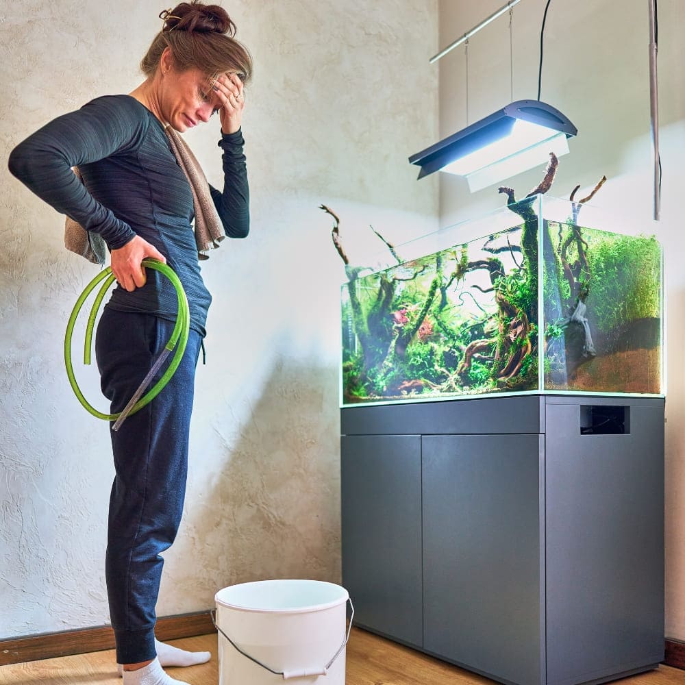Photo illustrant les changements d'eau en aquarium, avec une femme tenant un tuyau et un seau devant un aquarium.
