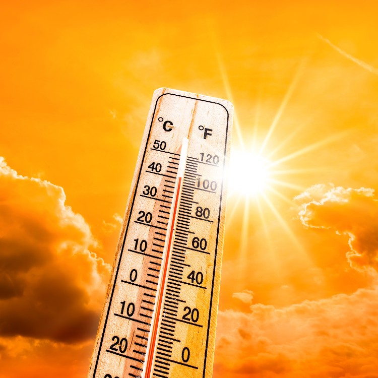 Thermomètre dépassant 40 °C sous un ciel orange brûlant : illustration de la canicule et de la nécessité d’apporter de l’eau à la faune.