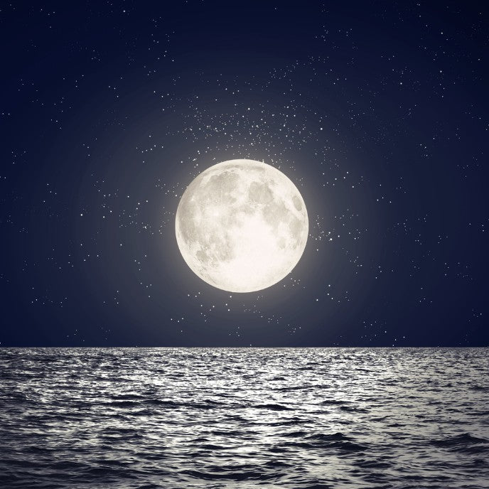 Reflet d’une pleine lune illuminant une mer calme, symbole du repos nocturne et du cycle de sommeil des poissons.