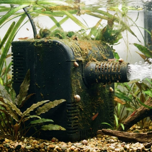 filtre-interne-aquarium-ouvert-oxygene