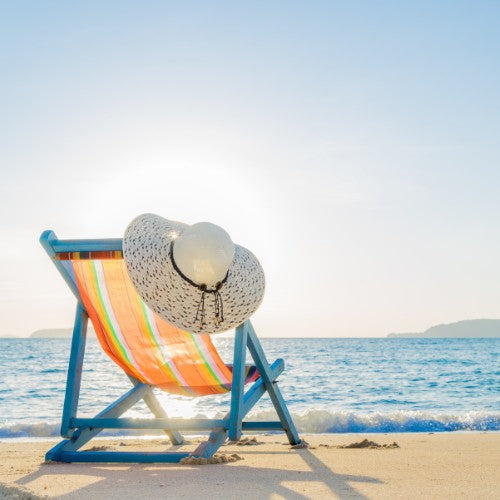 Vacances : l’aquarium et le bassin sans nous