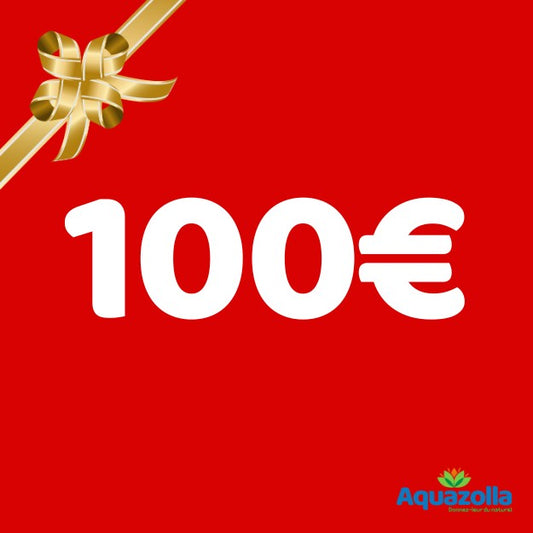 100€ gift card