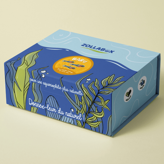 Coffret complet d'élevage de micro-vers pour vos alevins.