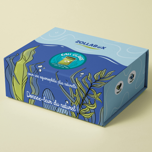 Coffret XL de lutte contre l'eau verte pour grand aquarium ou bassin