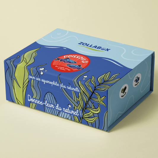 Un coffret d'élevage de daphnies pour poissons de taille moyenne.