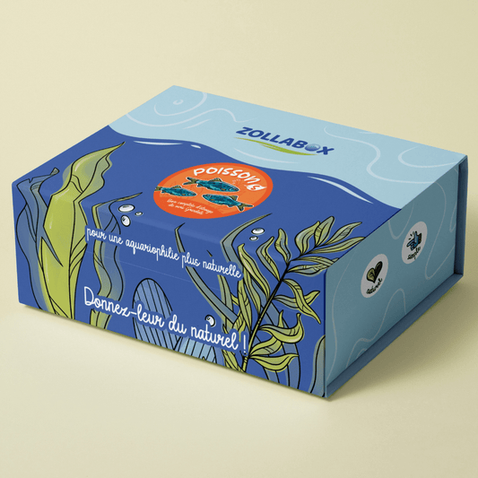 Un coffret complet d'élevage de vers Grindals pour vos alevins.