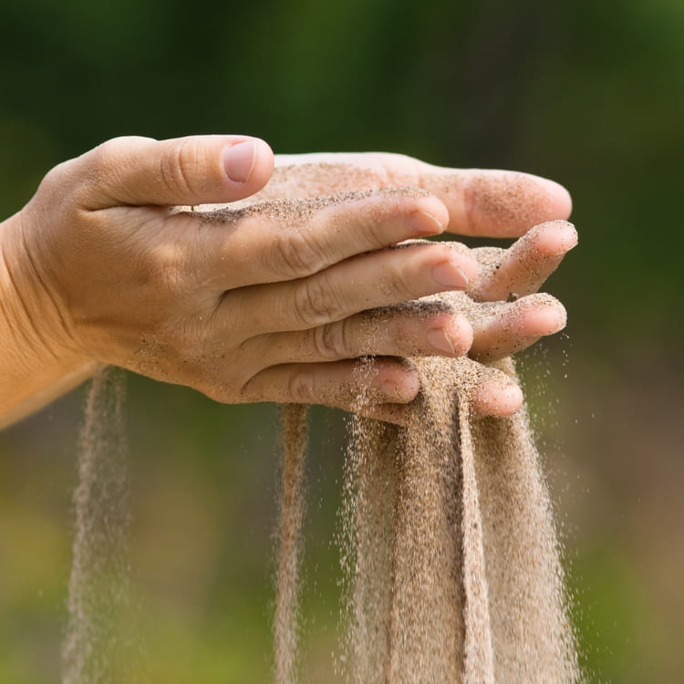 Plantes aquatiques aux racines saines poussant vigoureusement dans un sol adapté, illustrant les conseils pour bien choisir son sol dans le Chapitre 3 du Guide Officiel de l'Aquariophilie Naturelle.