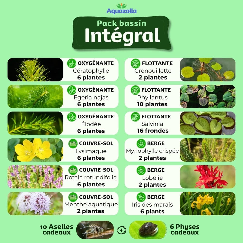 Descriptif des plantes aquatiques issues du pack Intégral d'Aquazolla pour l'équilibre biologique des bassins de jardin.