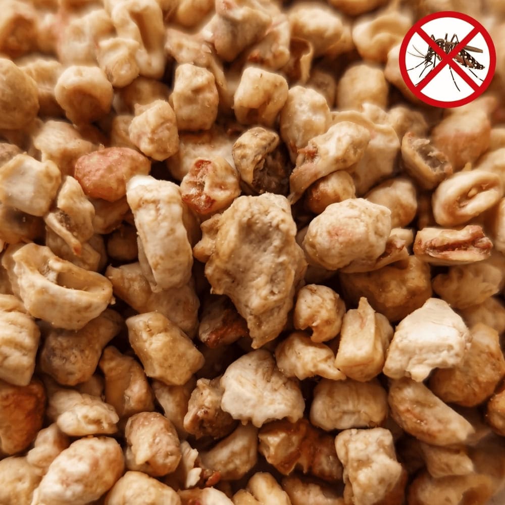Gros plan sur de petits grains de larvicide biologique anti-moustique tigre, montrant la texture de ce traitement naturel pour points d'eau.