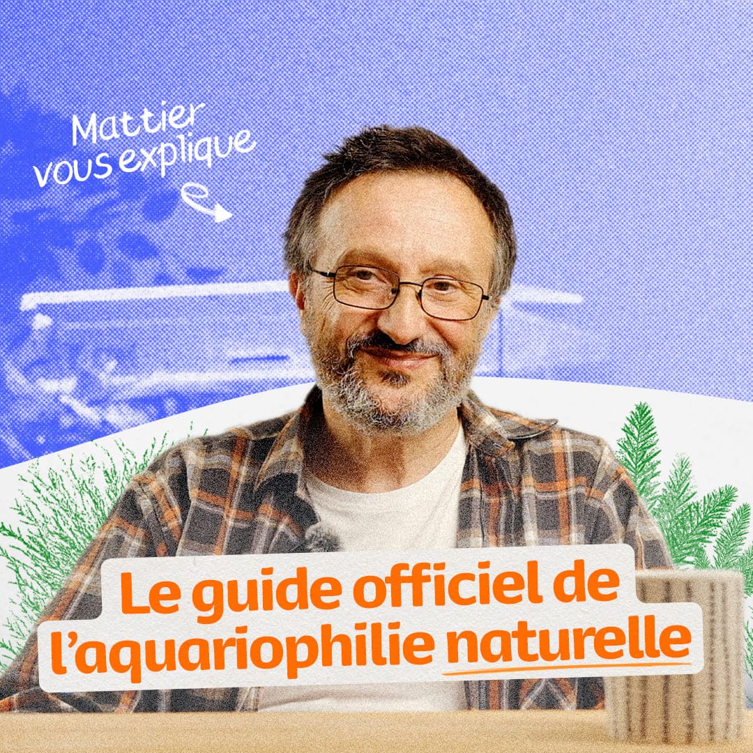 Visuel d'introduction du Guide Officiel de l'Aquariophilie Naturelle : votre point de départ pour découvrir les secrets d'un aquarium autonome, équilibré et sans prise de tête.