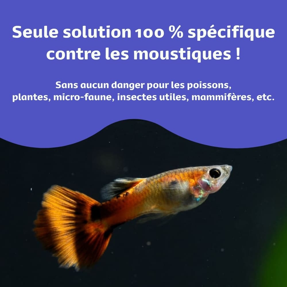 Message disant que le larvicide biologique anti-moustiques est un traitement naturel, totalement inoffensif pour les animaux de compagnie, la faune sauvage et la flore.