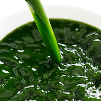 Foto che riassume il prodotto: versamento di fitoplancton d'acqua dolce vivo e concentrato per creare acqua verde nutriente destinata alle dafnie e alla microfauna.