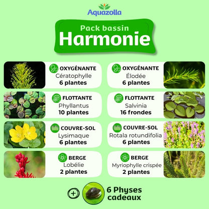 Descriptif des plantes issues du pack Harmonie d'Aquazolla pour l'équilibre biologique des bassins de jardin.