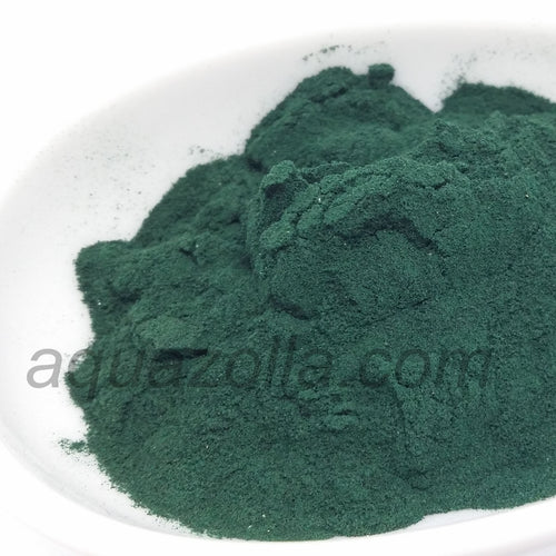 La spiruline est désormais bien connue. Cette super-algue est très utile en alimentation humaine comme complément vitaminique et minéral. Aucun autre aliment n'est aussi riche en éléments essentiels et en oligo-éléments.